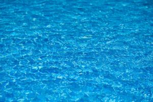 How to Build a Natural Swimming Pool Step by Step