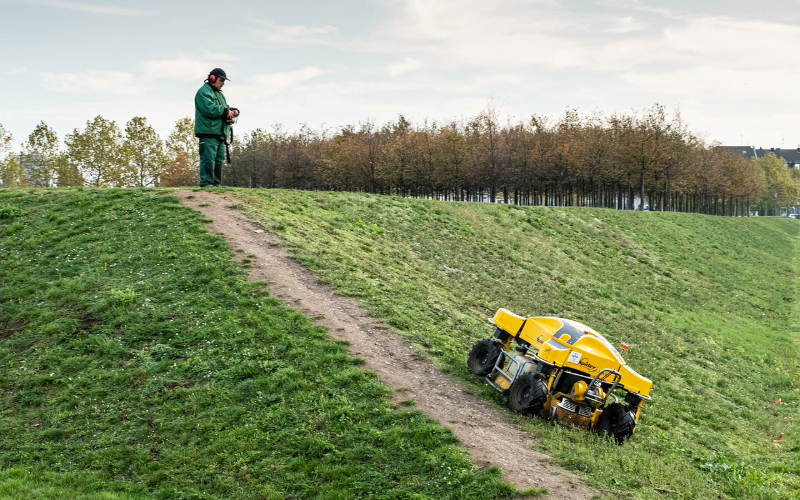 Don't Hire a Lawn Care Expert Until You Read This Guide! (Read 1st)