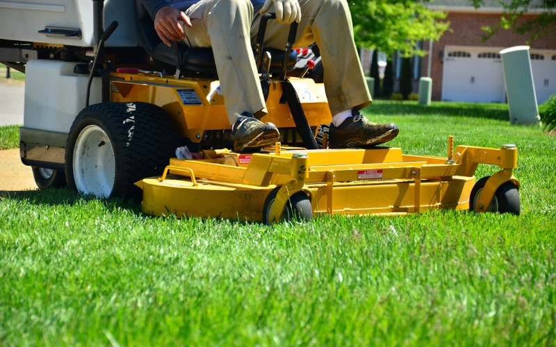 hiring the best lawn care expert