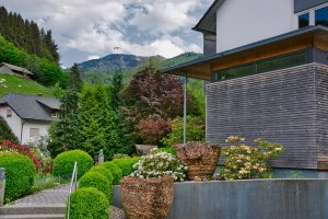 Low Maintenance Landscaping Bushes